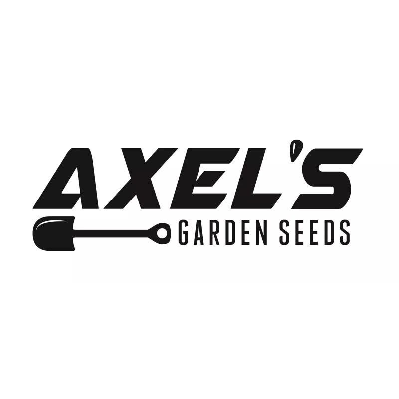 Axel's Garden Seeds Catskill Brussel Sprout Seeds for Planting -