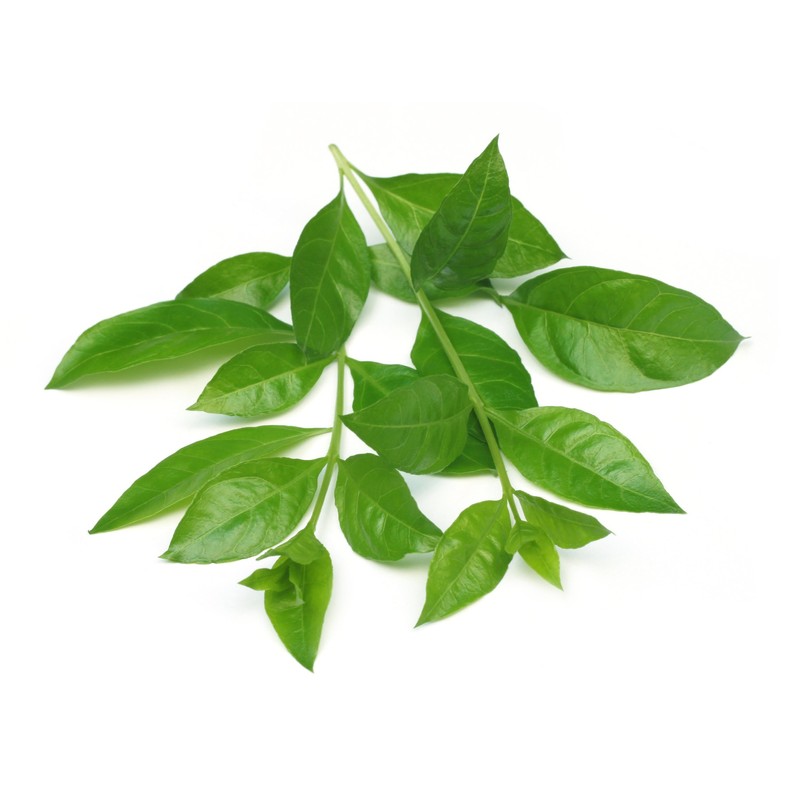 ガゴメとヘナのカラートリートメント ダークブラウン