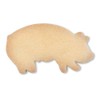 Staedter Lucky Pig Cookie Cutter, Silver, 8 cm