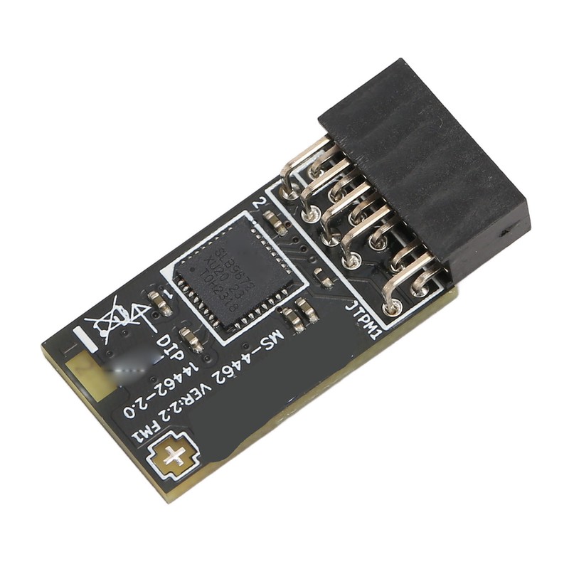 TPM2.0 Module TPM SPI 12Pin Encryption Security Module with SLB