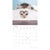 Alpha Edition - Katzenbabys 2025 Brochure Calendar, 30 x 30