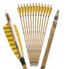 ZSHJGJR 30” Carbon Arrows Hunting Arrows with 4” Turkey Feather