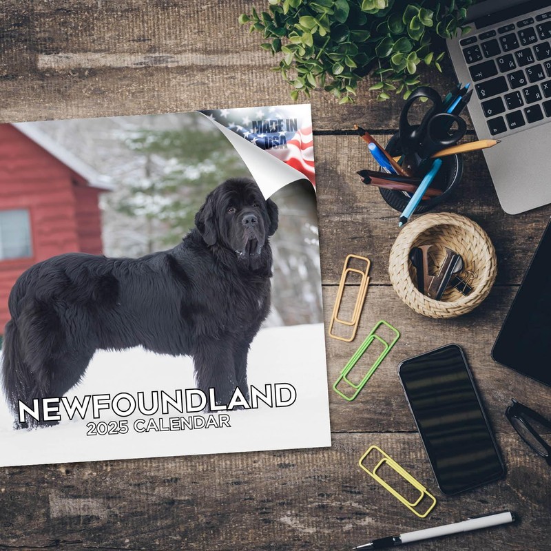 Newfoundland Calendar 2020 - Dog Breed Calendar - Wall Calendar