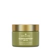 Origins Plantscriptionâ"¢ SPF 25 Power Anti-Aging Cream