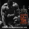 Optimised Research Labs Phosphatidic Acid M-TOR Pathway, Increase Protein Synthesis