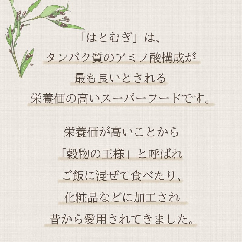 Domestic Roasted Spice Flour, 10.6 oz (300 g)