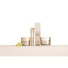 M. Asam Resveratrol Premium NT50 Tinted Day Cream (50 ml)