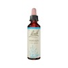 Bach Flower Remedies Sweet Vervain 20ml