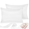 Set of 2 Satin Pillow Covers Envelope Pillowcase for Skin