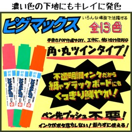 サクラクレパス 水性ペン ピグマックスツイン 12色 ZPK-T12