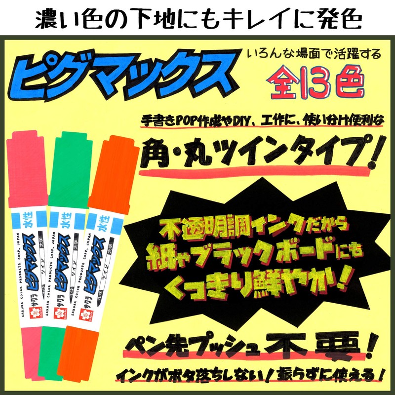 サクラクレパス 水性ペン ピグマックスツイン 12色 ZPK-T12