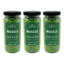 Village Naturals Aches & Pains Muscle Mineral Bath Soak 20 Ounce (591ml) (3 Pack)