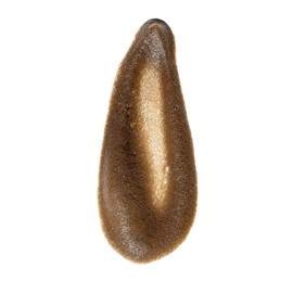 Luna Bronze Total Eclipse Express Self Tan Mousse | Instant, Dark & Natural Looking Self-Tanner Foam | Lightweight Formula Enriched with Organic Aloe Vera & Natural DHA | Fake Tan (200ml/6.7 fl. oz) | Luna Bronze