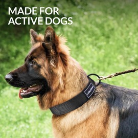 Heavy Duty Dog Collar for Large or Medium Dogs, Adjustable Strong Dog Collar for Active Dogs, Double-Layered Nylon (Black, Small (28-38 cm))