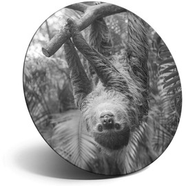 Destination Vinyl ltd Magnet for Refrigerator, Fridge BW - Cute Funny Jungle Sloth Animal for Office, Cabinet and Whiteboard, Magnetic Stickers, 38784