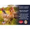 Kalmbach Feeds 17% All Natural Layer Pellet for Egg Laying