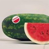 Hybrid Sangria Picnic Watermelon Seeds – 10 Seeds – High-Yield