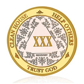MyRecoveryStore Silver&Gold 1-50 Years Alcoholics Anonymous Medallion AA Coin Capsule Included (Year 30)
