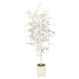 LCG Florals 72 Inch Ficus Tree in White Basket with Real-Wood Trunk & Decorative Rattan Basket - Faux Plants for Indoors and Outdoors