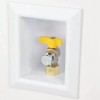 Sioux Chief 696-1031GF Ox Box Gas Outlet Box 3/4" NPT,