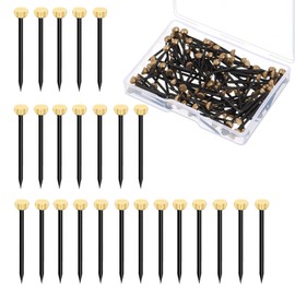 50Pcs Metal Plaster Picture Frame Hangers Picture Hanging Nails with Plastic Storage Box,Plaster Picture Frame Hanging Hooks Picture Pins,Metal Head Hanging Pins Nail for Hanging Photo Frame