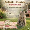 Pet Naturals Suplementos Naturales Digestión Diaria para Gatos