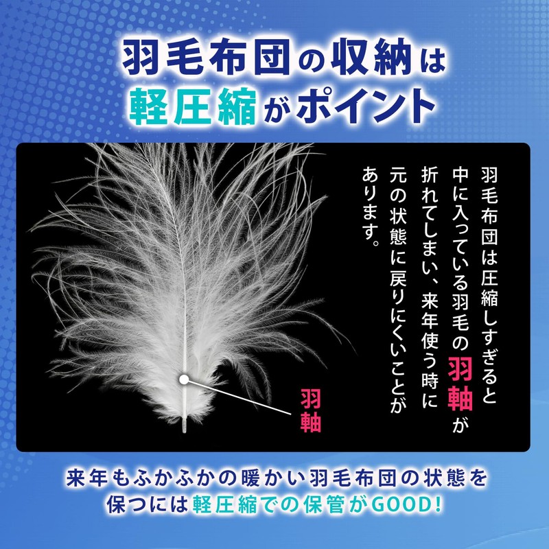 Astro 131-29 Storage Case, For Duvets, Navy, Single Size, Storage