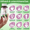 Neuropan Syrup 110 ml Anti-Stress Valerian for Relaxation [Vegetable +