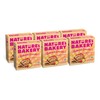 Nature's Bakery Oatmeal Crumble Bars, Raspberry Lemon, Real Fruit, Vegan,