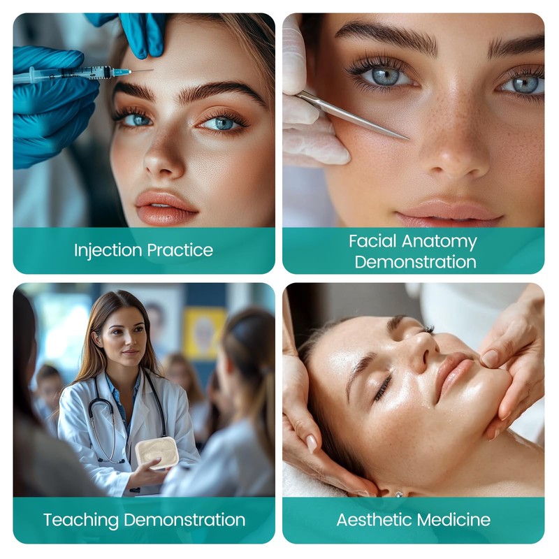 MedEduQuest Transparent Facial Injection Lip Model, Facial Model for Injection