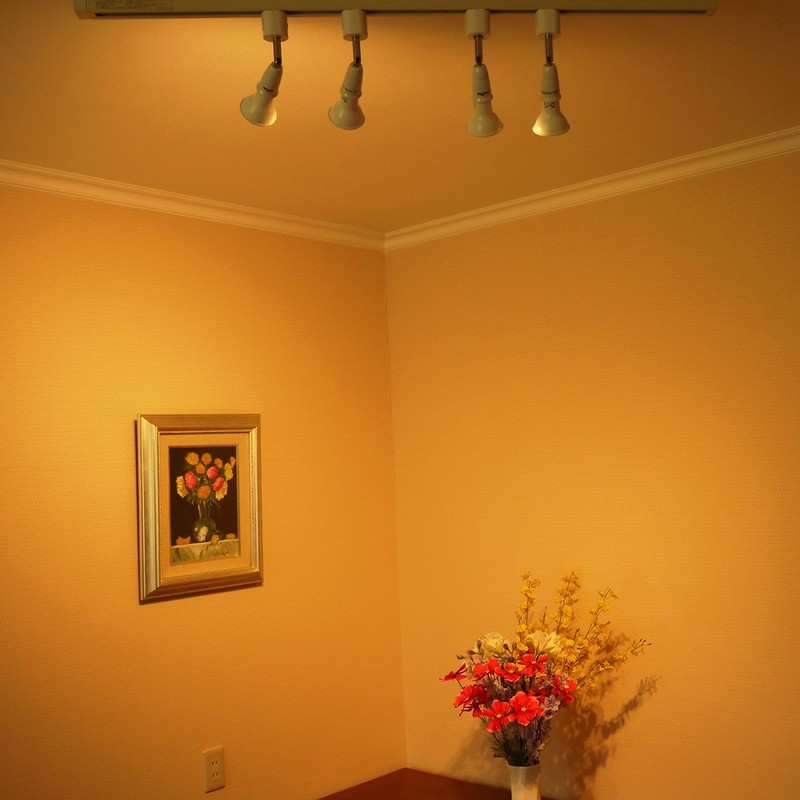 Duct for Rail Spotlight E26 Socket