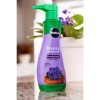 Miracle-Gro Blooming Houseplant Food (2-Pack)