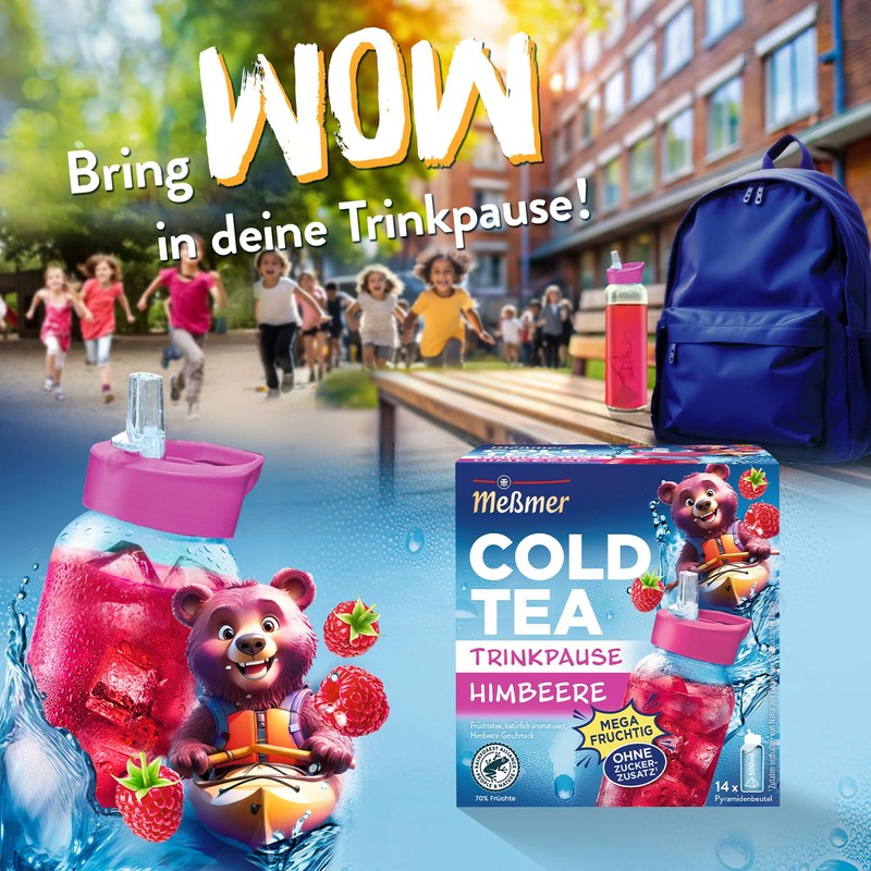 Meßmer Cold Tea Drinking Break Raspberry Fruit Tea Naturally Flavoured