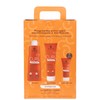 Alama Set Curl Kit: Shampoo, Detangling and Modelling Fluid for