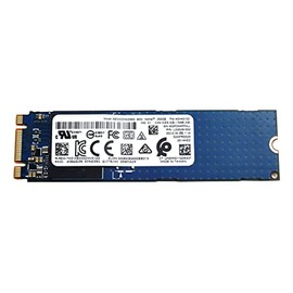 Solid State Drive L22028-002 Compatible Replacement Spare Part for HP Kioxia BG3 KBG30ZMV256G 256GB Triple-Level Cell M.2 2280 PCI-Express 3.0 x2 NVMe SSD