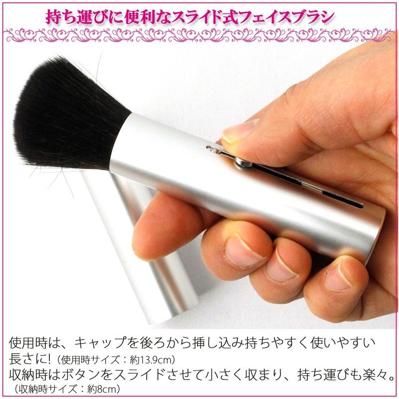 Shishida Seishindo Face Brush, Slide, Silver