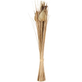 Deco 79 Dried Plant Pampas Grass Home Decor Natural Foliage Natural Dried Foliage with Fan Palm Leaves, Foliage for Decoration 6" x 6" x 41", Brown