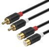 J&D 2RCA to 2RCA Cable, RCA Cable Gold Plated [AudioWave