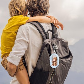 ifundom 8PCS Clear Figure Display Bag with Keychain Zipper Clear Display Case Display Case Small Doll Storage Bag Hanging Box Organizer for Figures Collectibles