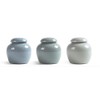 KnocKconK Mini Pet urn, Small Ceramic Ash Funeral Burial Box,