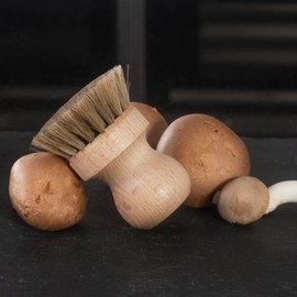 HOFMEISTER® Mushroom Brush with Elegant Horsehair Trim, 7.7 cm, Suitable for All Mushrooms, Gentle Dry Cleaning of Mushrooms, Made in Germany, Made from EU Beech Wood