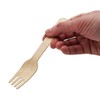 Wooden Forks Biodegradeable & Disposable Pack of 100