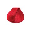 KC T SEMI-PERMANENT RASPBERRY PRISM