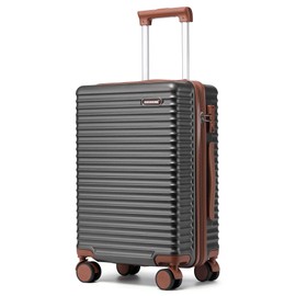 Ruausine 20-Inch Carry on Luggage,Carry-on Suitcase with Spinner Wheels and TSA Lock, 22x14x9 Airline Approved,Hardside Lightweight Travel Carry-on Luggage,Small Rolling Luggage (Grey, 20 lnch)