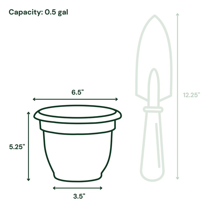 Bloem Ariana 6" Charcoal Round Self-Watering Resin Planter Pot -