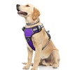 WINSEE Dog Harness No Pull, Pet Harnesses with Dog Collar,