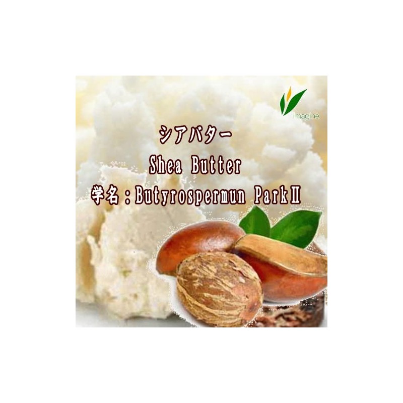 Shea Butter G [Beauty Cream] [Handmade Cosmetics Material] [Handmade Soap