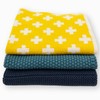 Ecovask Dish Cloth 3pc Variety Pack Organic Cotton, Pool Party