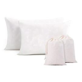 CottonColors Adjustable Shredded Premium Latex Pillow, 100% Talalay Extra Soft Latex Pillow Hotel Collection Grade for Sleeping - Queen Size 2 Unit