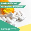 Yomogi 250 mg, for the treatment and prevention of diarrhoea,